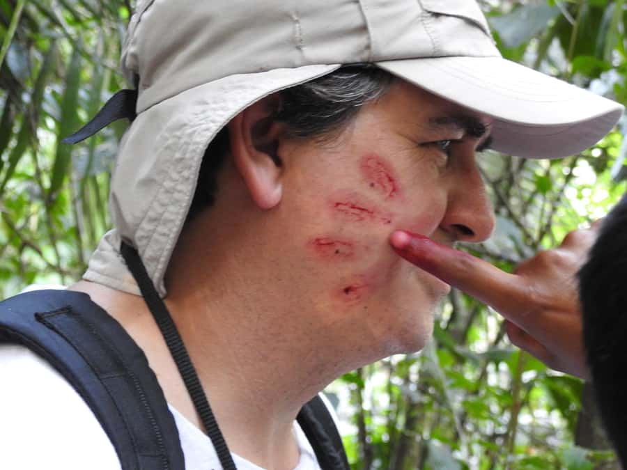 From Puerto Maldonado: Tambopata National Reserve 3-Day Tour - What the $279 price really covers