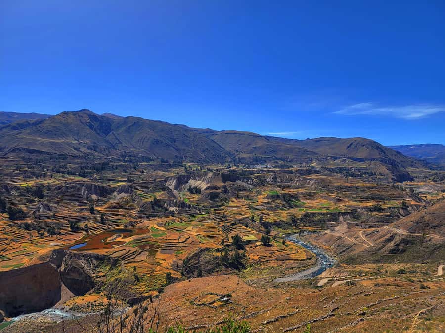 From Puno: 2-Day Tour to Colca Canyon ending in Arequipa - Day one begins at 6:00 a.m. in Puno