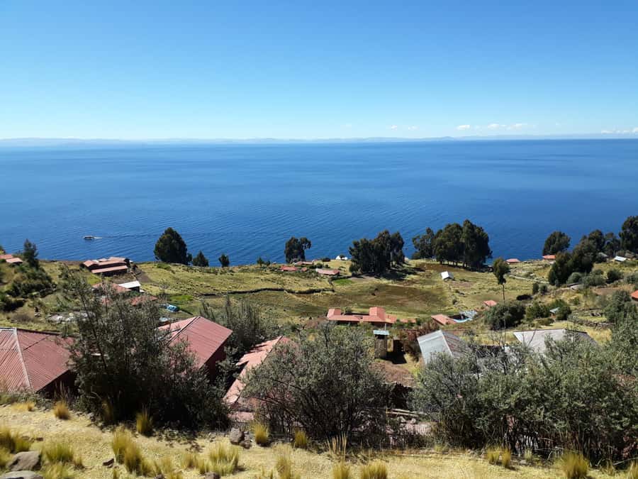 From Puno: full day tour to Uros and Taquile with Lunch - Who will get the most from this day