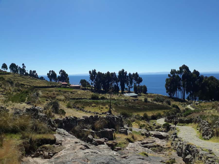 From Puno: full day tour to Uros and Taquile with Lunch - A local trout lunch on Taquile