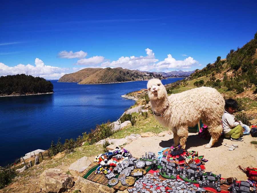 From Puno: Sun Island and Copacabana 1-Day Tour - Sun Island is the reason to make this long trip
