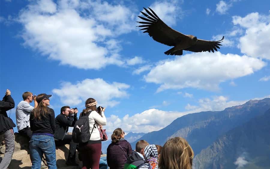From Puno to Arequipa: 2 Days/1 Night Colca Canyon Tour - Why this two-day route makes sense