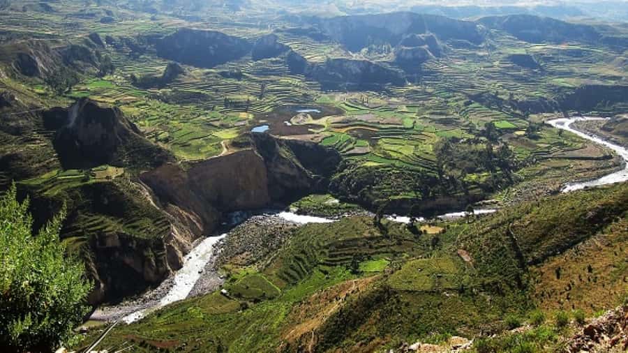 From Puno to Arequipa: 2 Days/1 Night Colca Canyon Tour - Day 1: Leaving Puno at 6:10 in the morning