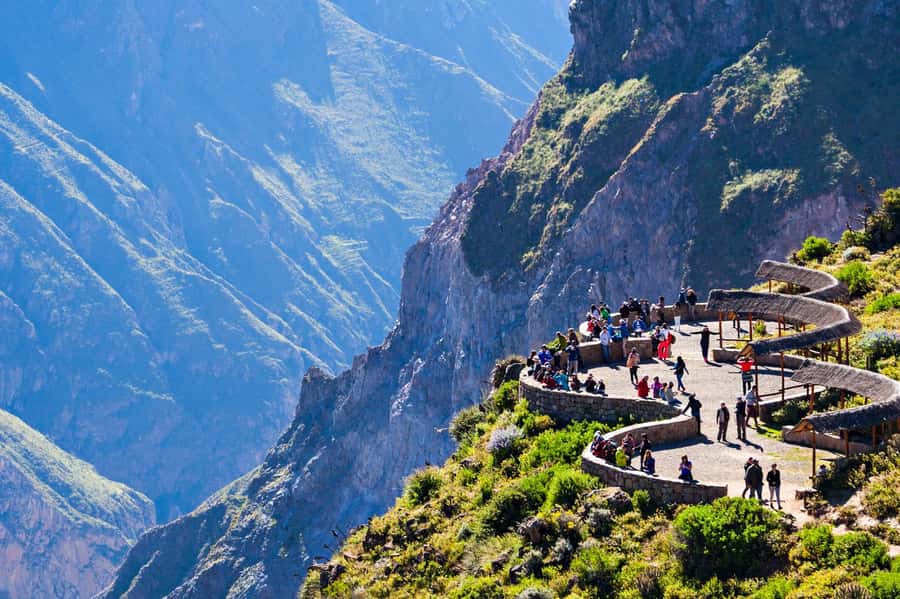 From Puno to Arequipa: 2 Days/1 Night Colca Canyon Tour - Lagunillas Lagoon and Andean birdlife