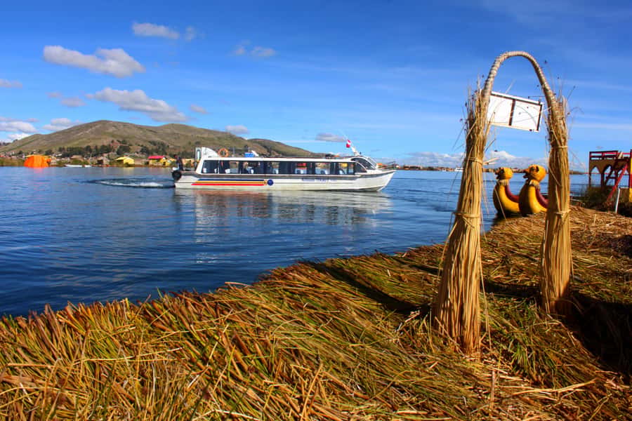 From Puno: Uros floating islands half Day tour - What the feedback tells you about the experience
