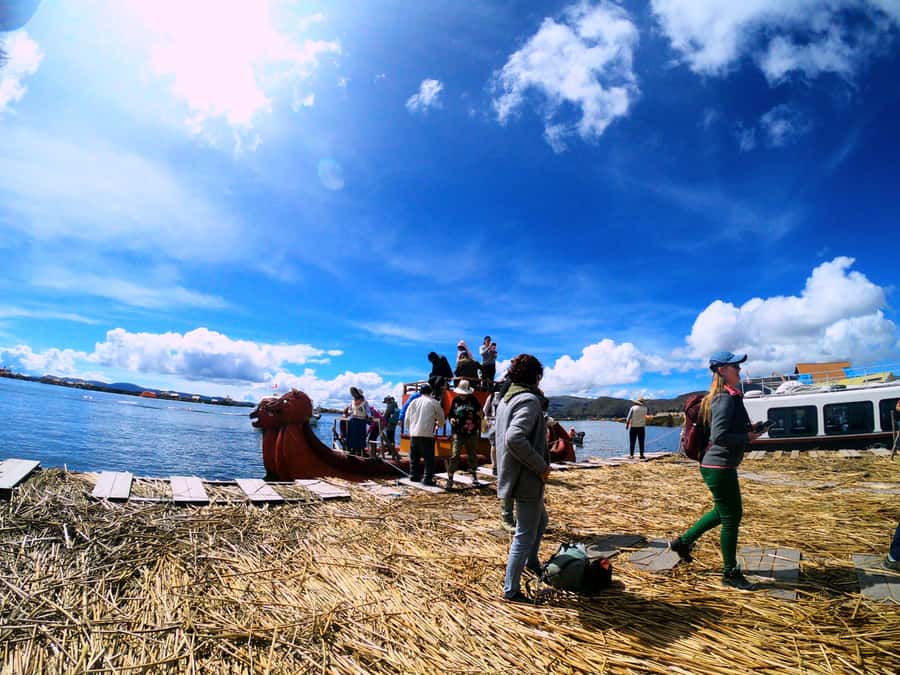 From Puno: Uros floating islands half Day tour - How totora reeds make a floating island