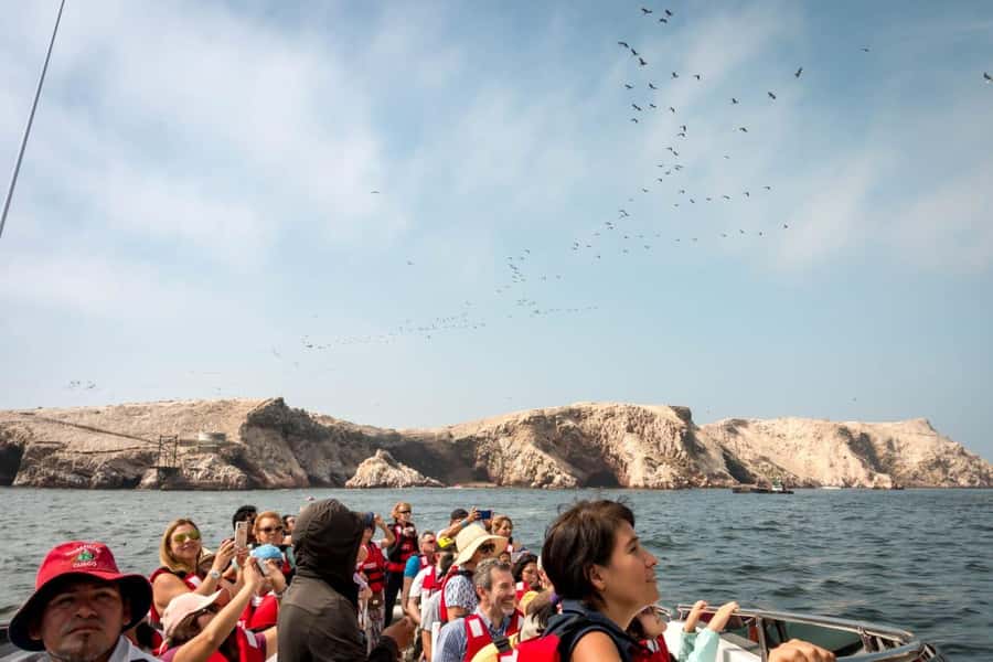 From San Martin Port: Ballestas Island & Paracas Reserve - From San Martin Port to El Chaco