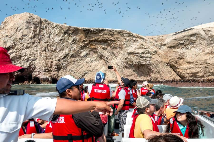 From San Martin Port: Ballestas Island & Paracas Reserve - Two hours among sea lions and seabirds