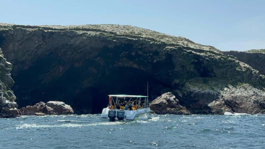 From San Martin Port: Ballestas Islands Tour in Paracas - Why the Ballestas Islands are worth your morning