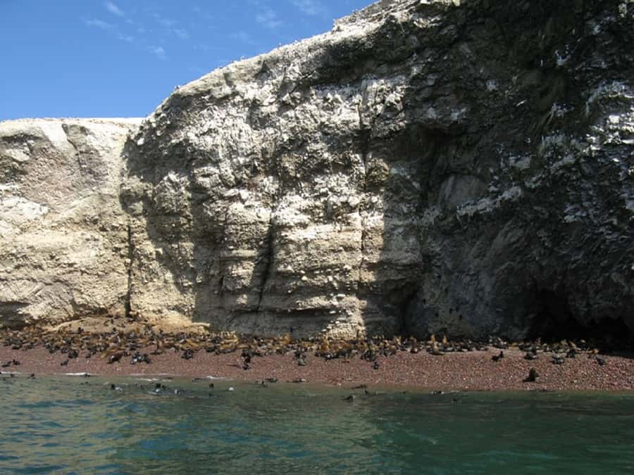 From San Martin Port: Ballestas Islands Tour in Paracas - Is $84 a fair price?