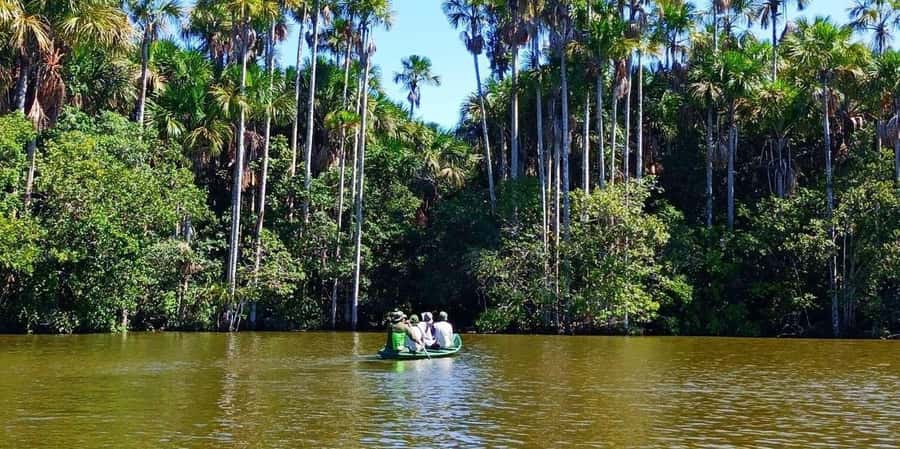From Tambopata: Amazon Jungle Hike and Lake Sandoval 1-Day - Canoeing across Lake Sandoval