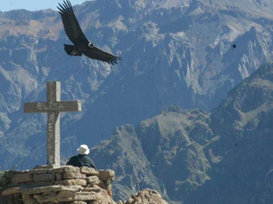 Full-Day Colca Canyon Tour from Arequipa - Why the 3:00 AM start is worth considering