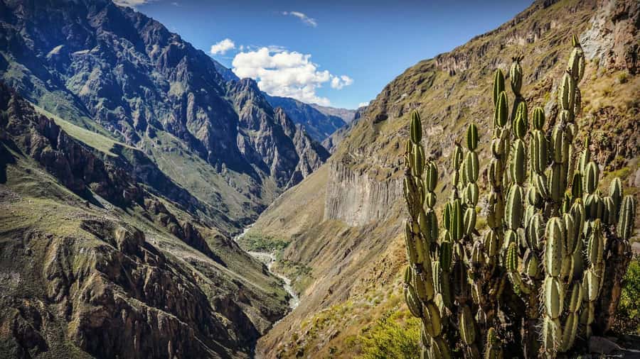 Full-Day Colca Canyon Tour from Arequipa - Pinchollo, Maca, and Yanque on the return route