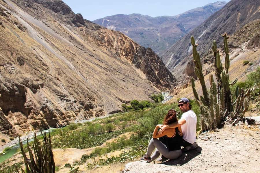 Full-Day Colca Canyon Tour from Arequipa - Patapampa at 4,800 meters