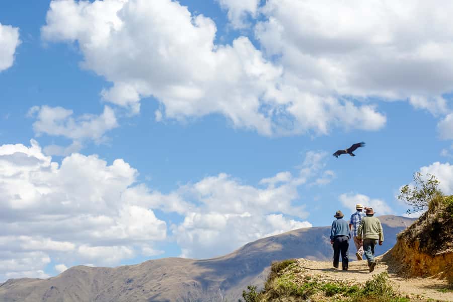 Full-Day Condor Viewpoint & Inca Sites Tour - Why this Cusco day trip is different