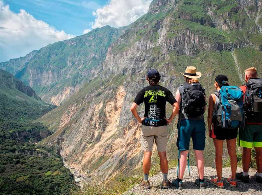 Full day excursion to Colca Canyon - Cruz del Cóndor at 8:30 AM