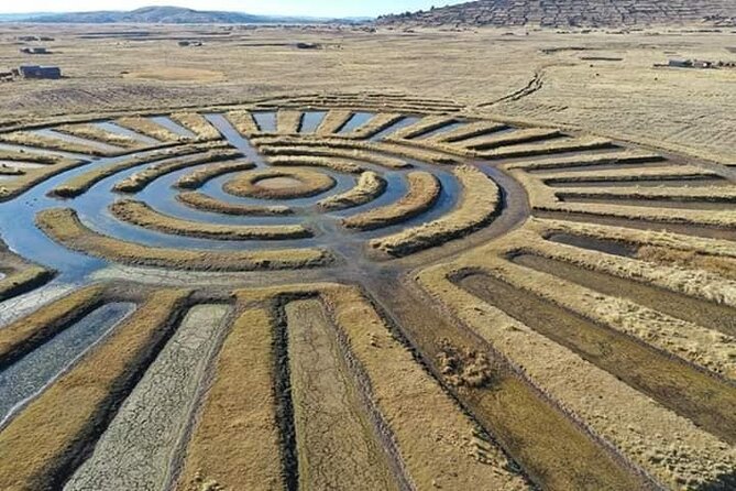 Full Day Guided Tour of the Aymara Route from Puno - Key points to know before booking