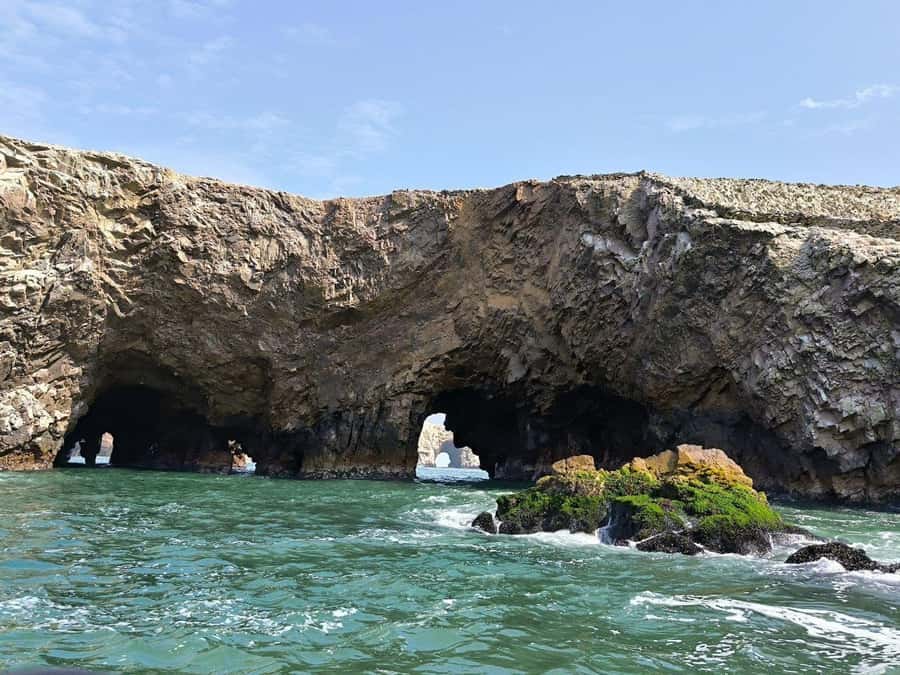 FULL DAY PARACAS - ICA - The one-hour break in Paracas