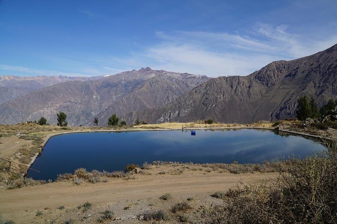 Full Day Tour / Colca Canyon - Chacapi hot springs near Chivay