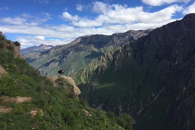 Full Day Tour / Colca Canyon - The 3:30 a.m. departure from Arequipa