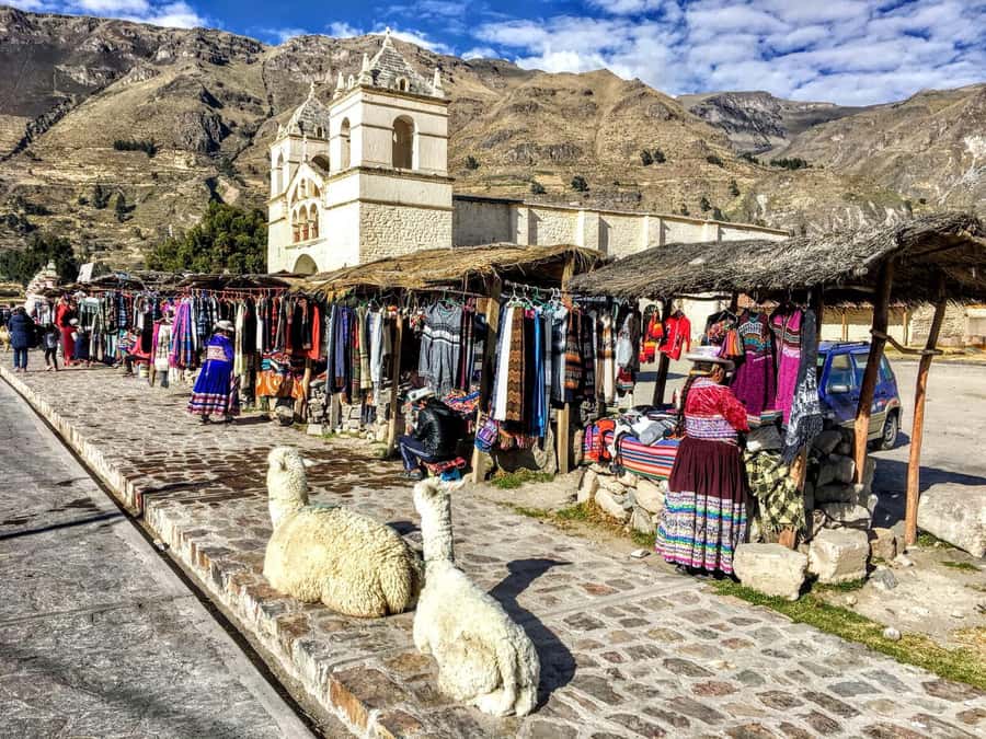 Full Day Trip to Colca Canyon from Arequipa ending in Puno - The optional hot springs stop