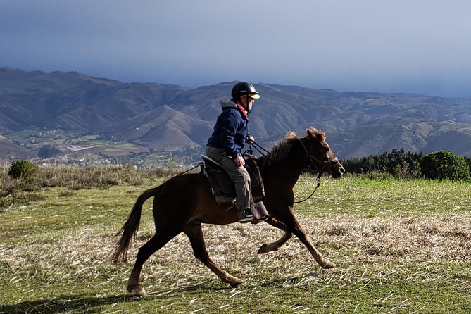 Half day Horseback Riding tour around Sacsayhuaman park - What the Route Actually Covers