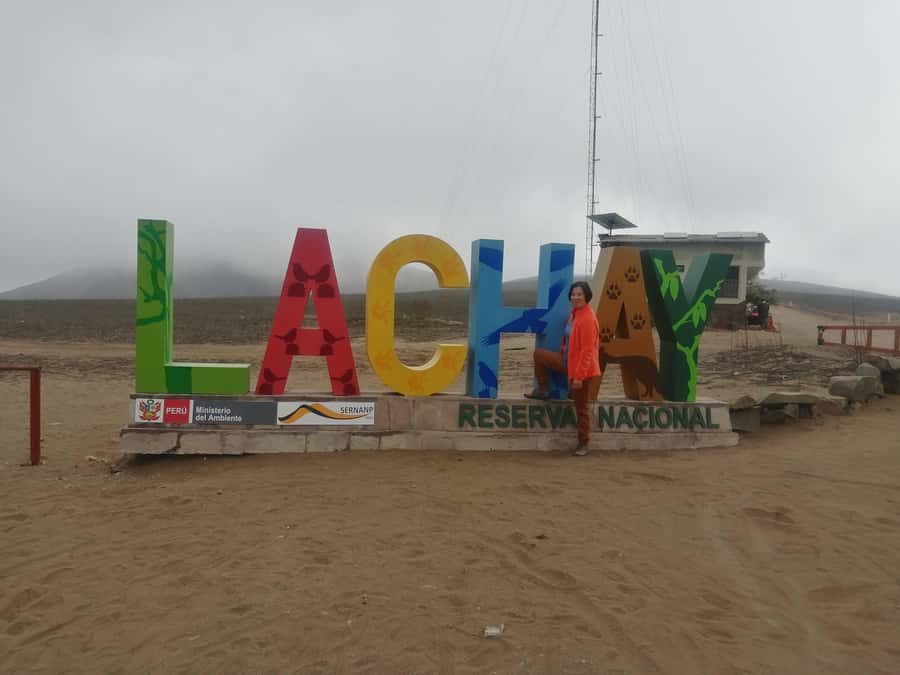 Hiking Lomas de Lachay in Lima - Why Lomas de Lachay Feels So Different From Lima