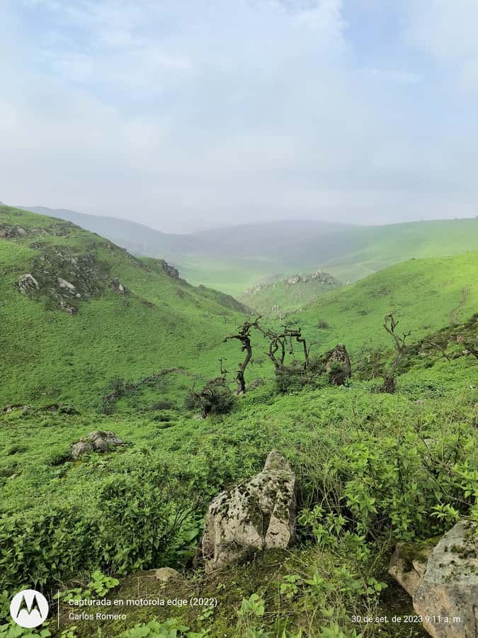 Hiking Lomas de Lachay in Lima - Walking the Dunes and Hills