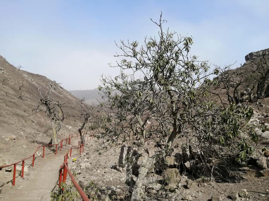 Hiking Lomas de Lachay in Lima - Is $165 a Fair Price?