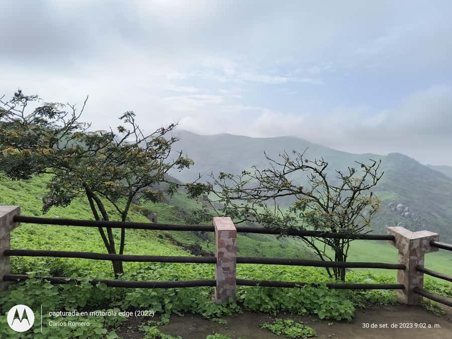 Hiking Lomas de Lachay in Lima - Who Will Enjoy This Day Trip Most?