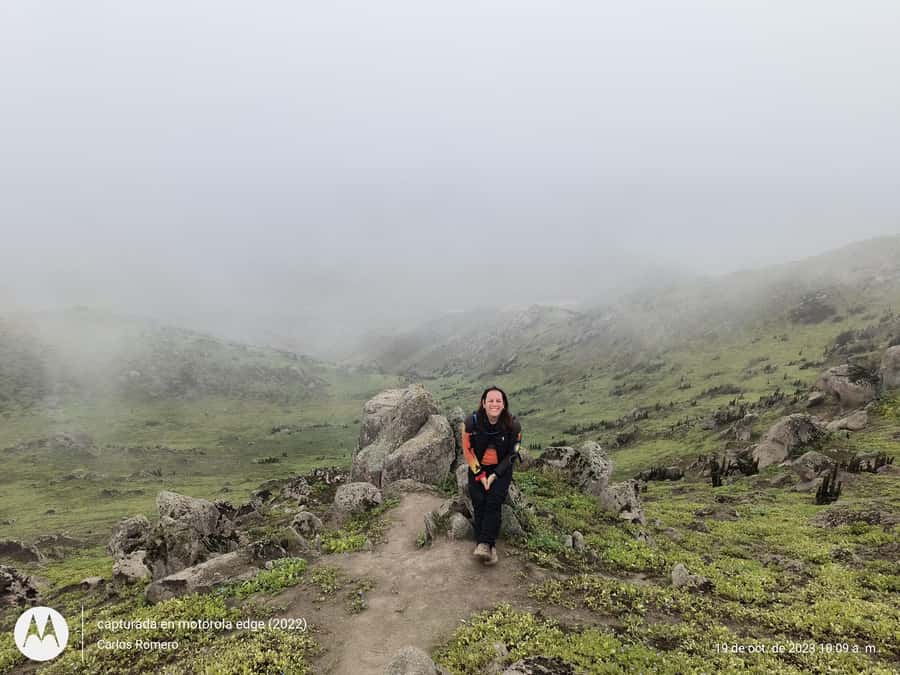 Hiking Lomas de Lachay in Lima - The Long Drive and What It Means for Your Day