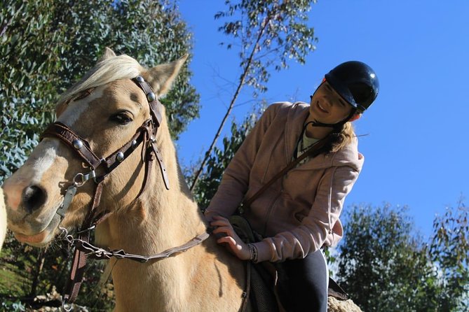 Horse Riding Chacan Mountain And Temple Of The Moon - Is $65 a fair price?