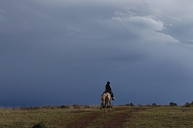 Horseback Tour in cusco to Temple of the Moon & Hidden temples - Key points to know before booking