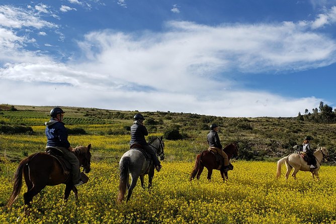 Horseback Tour in cusco to Temple of the Moon & Hidden temples - Who should book this horseback tour?