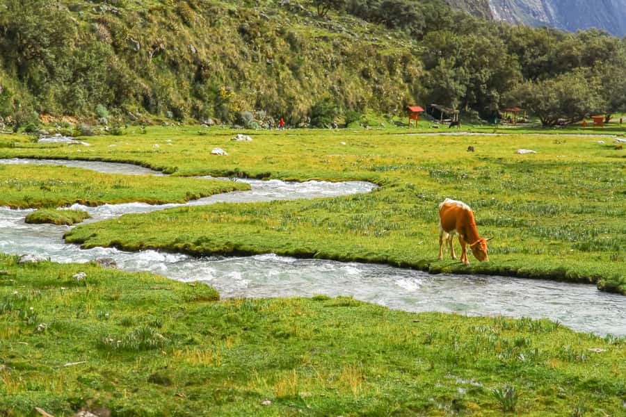 Huaraz: 3-hour Trek to Laguna 69 with Optional Lunch - Who should book this trek?