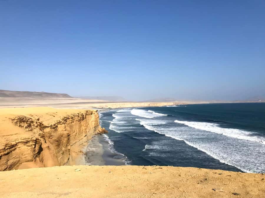 Ica: Ballestas Island & Paracas Reserve Private Tour - What to bring for a smoother day