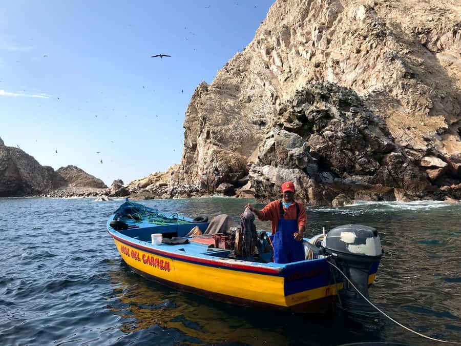 Ica: Ballestas Island & Paracas Reserve Private Tour - From your Ica hotel to the Paracas harbor