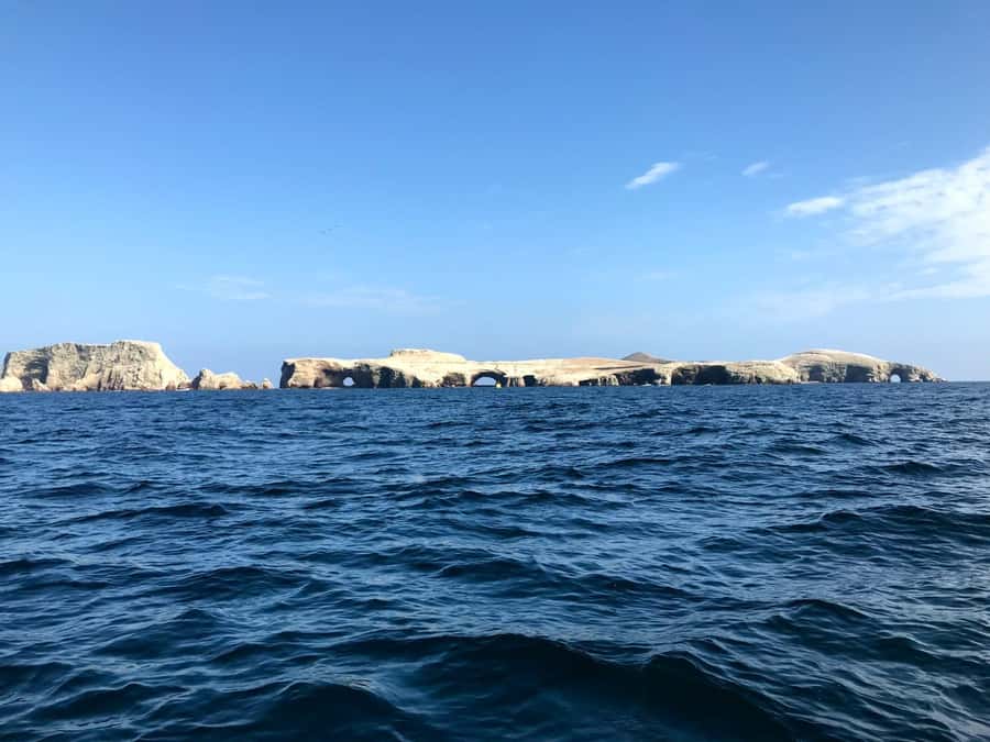 Ica: Ballestas Island & Paracas Reserve Private Tour - Ballestas Island and its crowded rocky shores