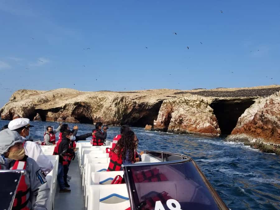 Ica: Ballestas Island & Paracas Reserve Private Tour - Who will enjoy this six-hour outing