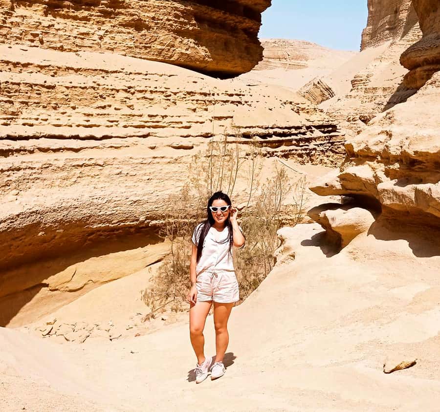 Ica: Canyon of the Lost Tour in Ocucaje Desert - Fossils and the story beneath the sand