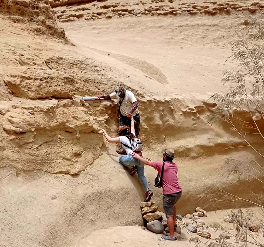 Ica: Canyon of the Lost Tour in Ocucaje Desert - English, Spanish, and the guide experience