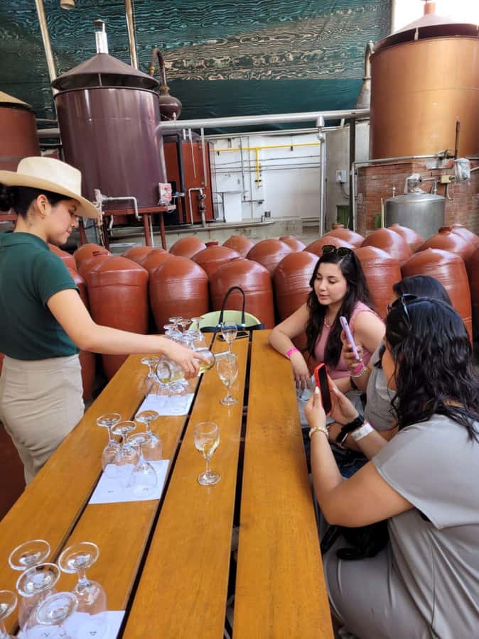 ICA: Pisco and Wine Route with tasting in 03 Wineries - Why Ica is the right place for a pisco tasting