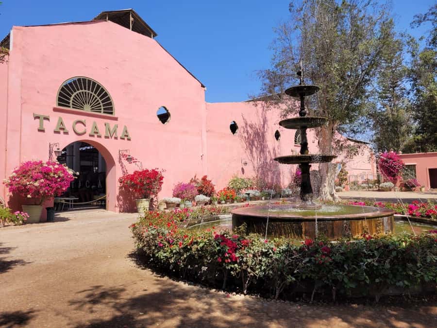 ICA: Pisco and Wine Route with tasting in 03 Wineries - Learning how grapes become pisco