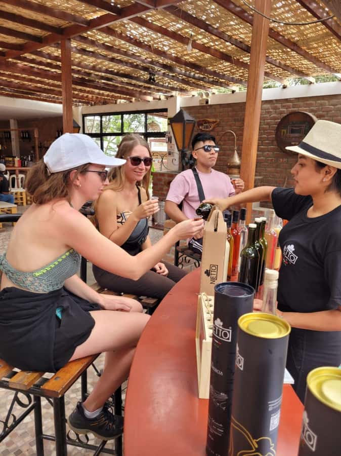 ICA: Pisco and Wine Route with tasting in 03 Wineries - The first 30-minute tasting