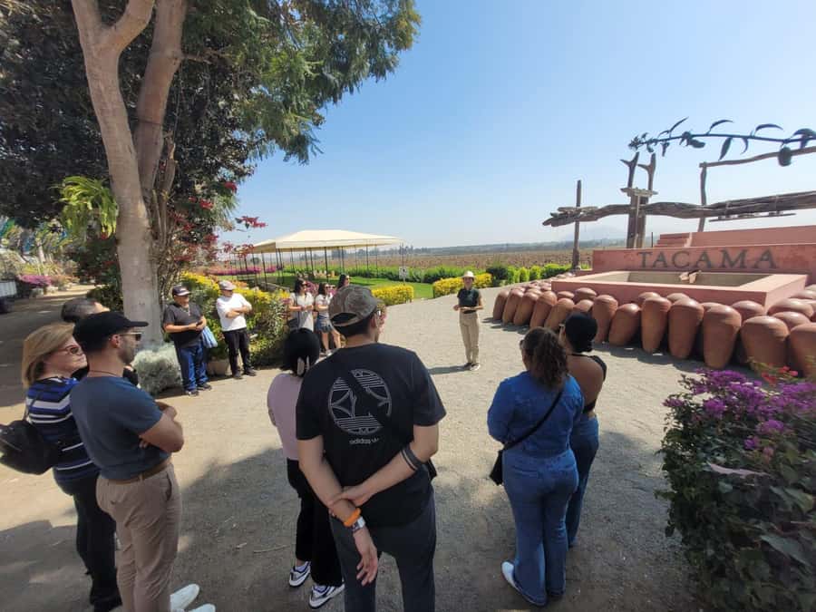 ICA: Pisco and Wine Route with tasting in 03 Wineries - Vineyard views and working facilities