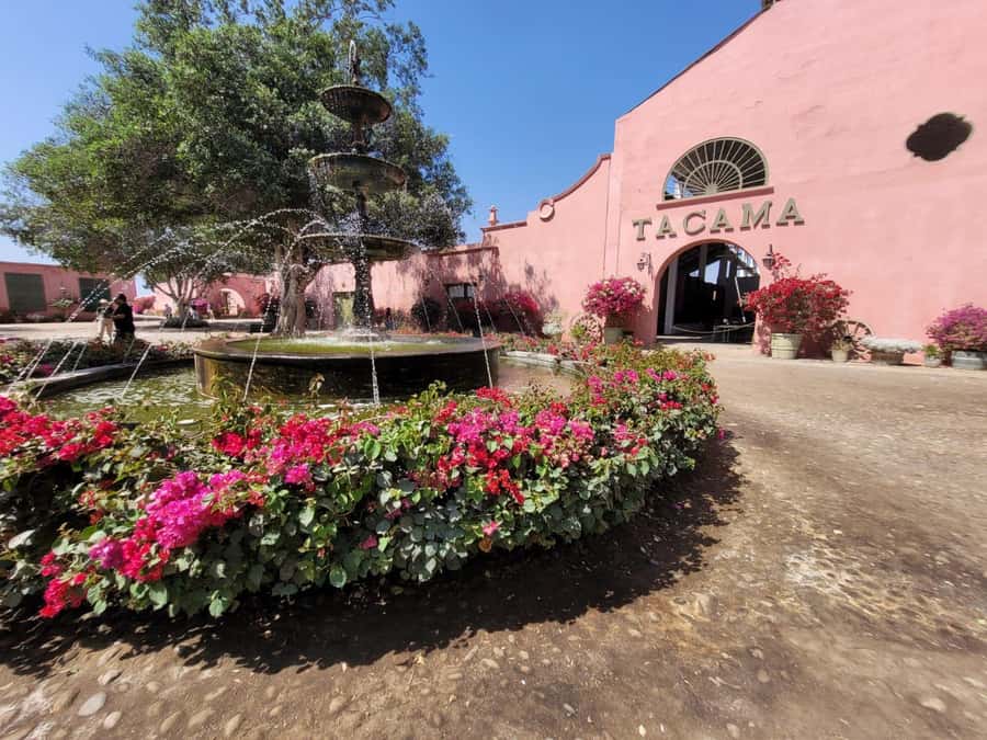 ICA: Pisco and Wine Route with tasting in 03 Wineries - Is $29 a fair price?