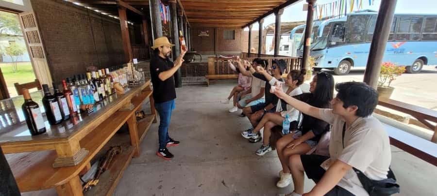 ICA: Pisco and Wine Route with tasting in 03 Wineries - What the guide service adds