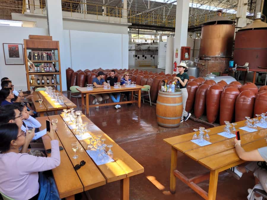 ICA: Pisco and Wine Route with tasting in 03 Wineries - Starting at Hacienda Tacama