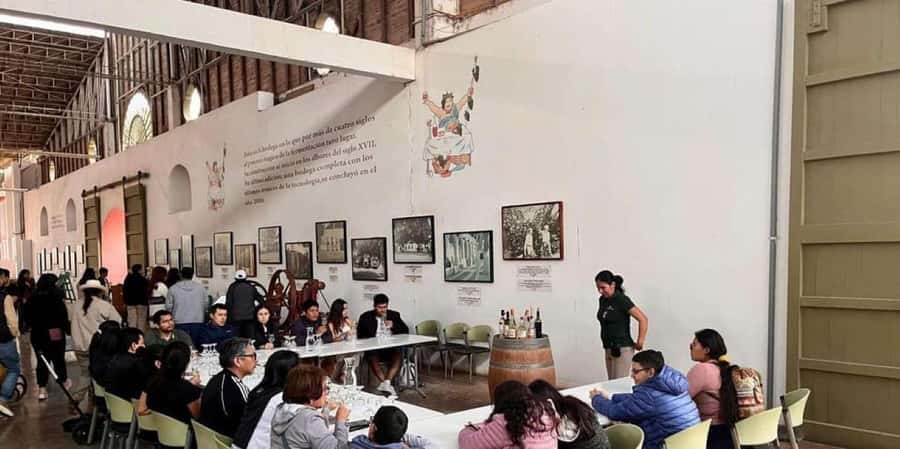 Ica: Tacama Winery and Pisco Tasting Tour with Hotel Pickup - Key points to know before you book