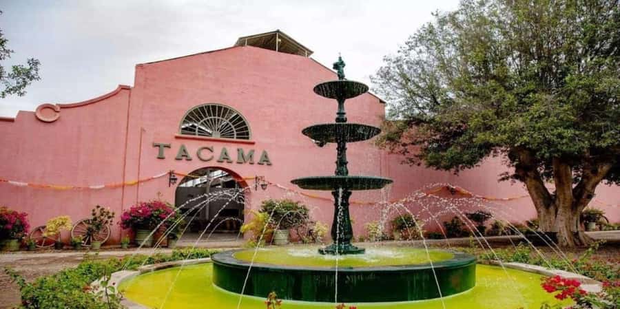 Ica: Tacama Winery and Pisco Tasting Tour with Hotel Pickup - Why Ica’s wineries make a good day out